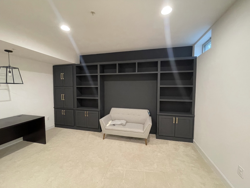 Finished basement & entertainment room